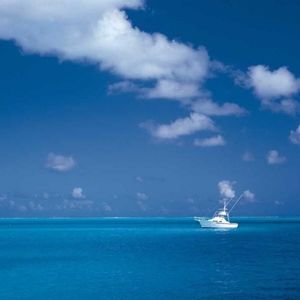 Meet your Posher, Abigail